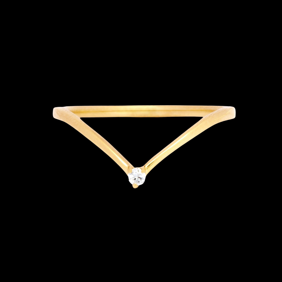 Parana ring